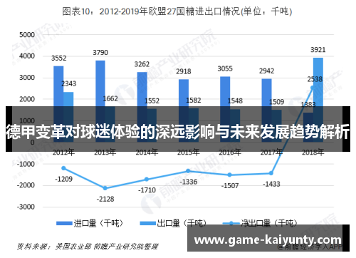 德甲变革对球迷体验的深远影响与未来发展趋势解析