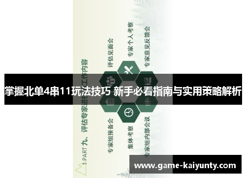 掌握北单4串11玩法技巧 新手必看指南与实用策略解析